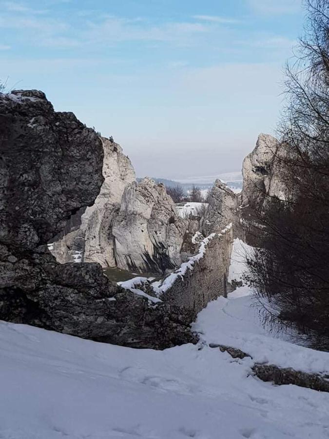 Pokoje Przy Zamku Podzamcze  Exterior photo